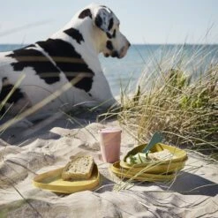 Light My Fire Eat´n Drink Kit BIO For 4 Nature 11 Light My Fire Eat´n Drink Kit BIO For 4 Nature -Zipp Camping Shop 2f9ba20e0235df98918201b6cf544baa 1