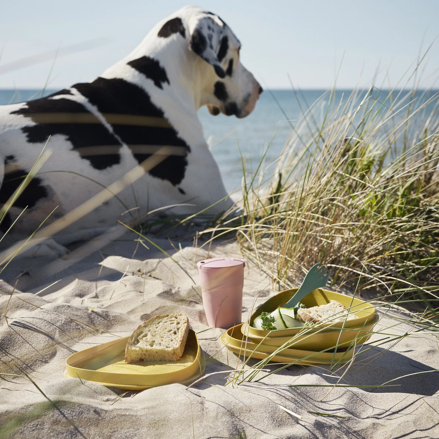 Light My Fire Eat´n Drink Kit BIO For 4 Nature 6 Light My Fire Eat´n Drink Kit BIO For 4 Nature - Image 4