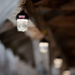 Barebones Beacon Kraft Packaging - Antique Bronze 10 Barebones Beacon Kraft Packaging - Antique Bronze -Zipp Camping Shop LIV 297 5 b108275a 0686 4a3a 84f6 cca8159ad8ee