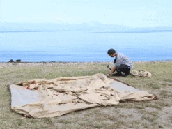 DoD Eight Tent -Zipp Camping Shop t5 668 tn kh top band 05