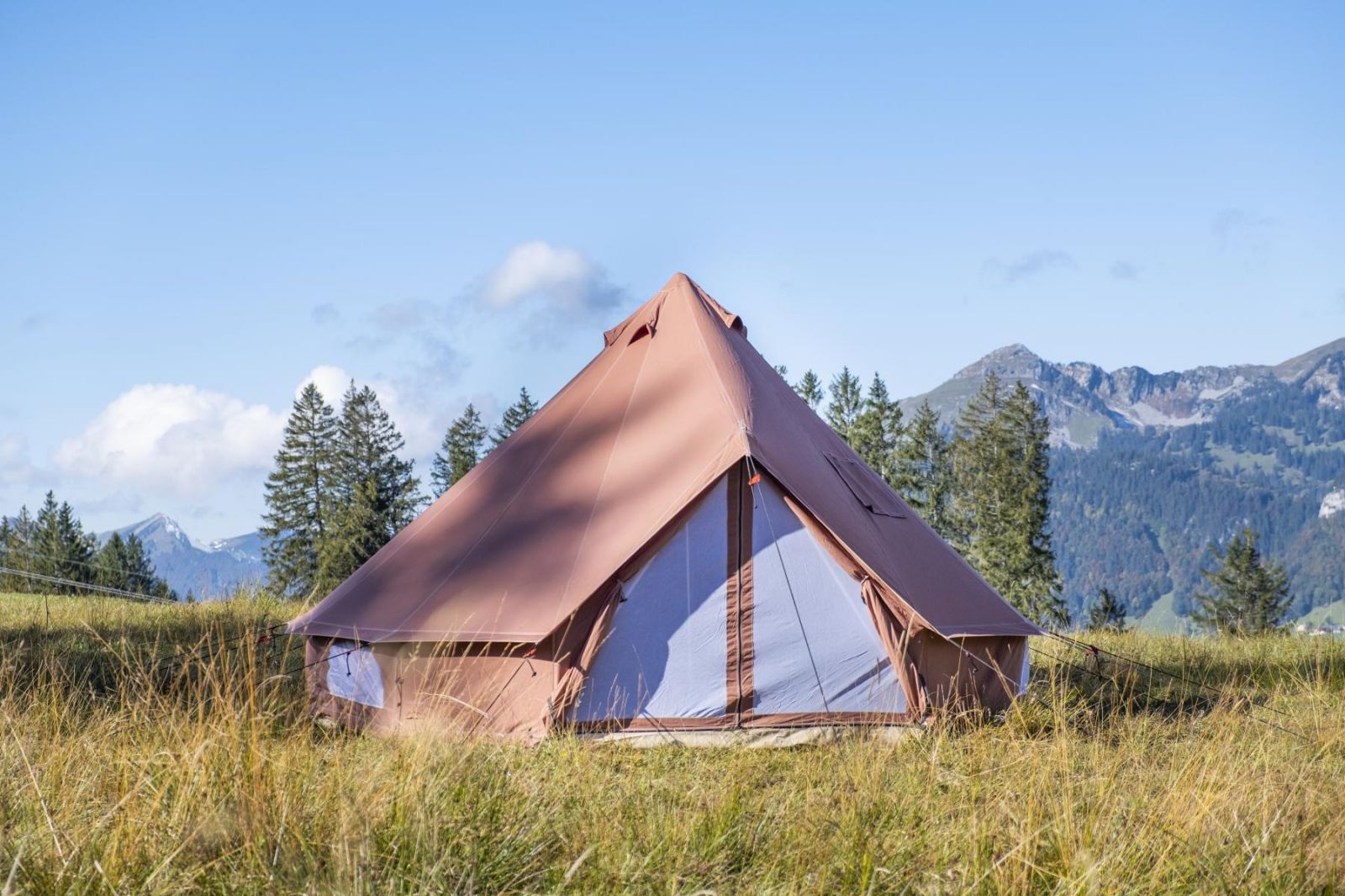 Zipp Camping Shop 2 Zipp Camping Shop -Zipp Camping Shop 9456 1 SPATZ Cotton Exchange Toggenburg 1jpg large